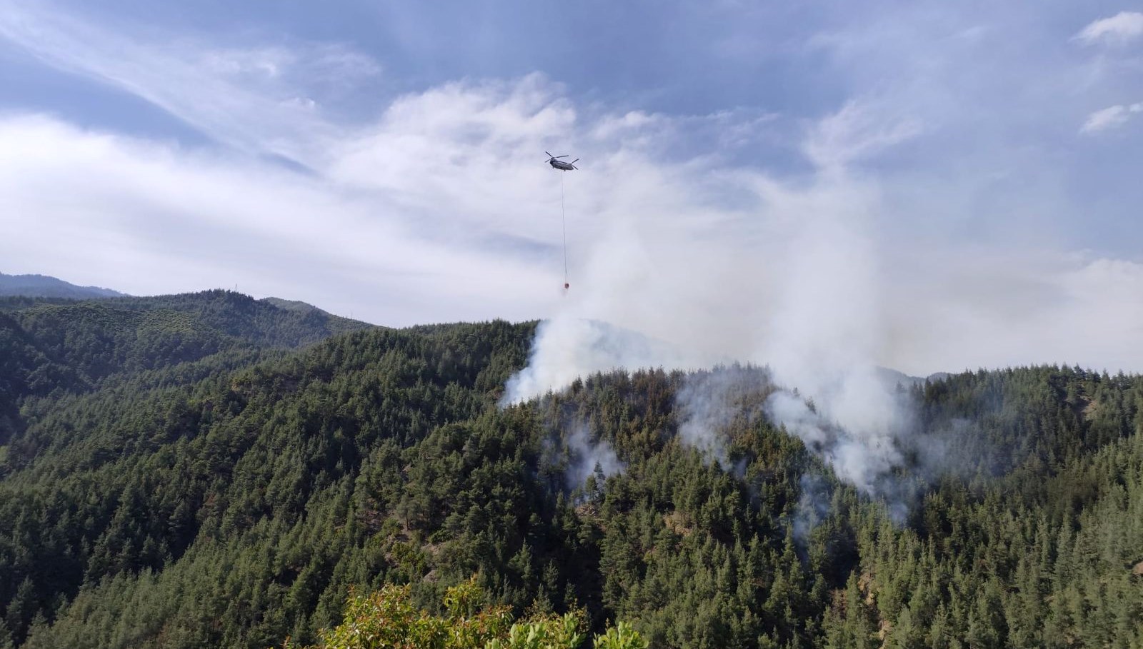 kahramanmarasta orman yangini Hd9UN6yW