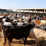 kurban bayraminda 9 gun tatil hayali sona erdi resmi aciklama geldi 6l7LHqLT