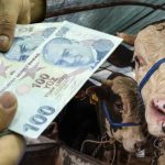 maaslar bayramdan evvel yatacak mi memur ve emekli maaslari kurban bayramindan sonra mi yatacak zmVU1J4q