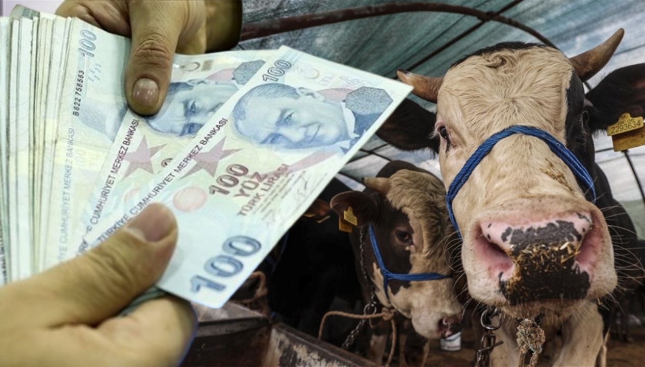 maaslar bayramdan evvel yatacak mi memur ve emekli maaslari kurban bayramindan sonra mi yatacak zmVU1J4q