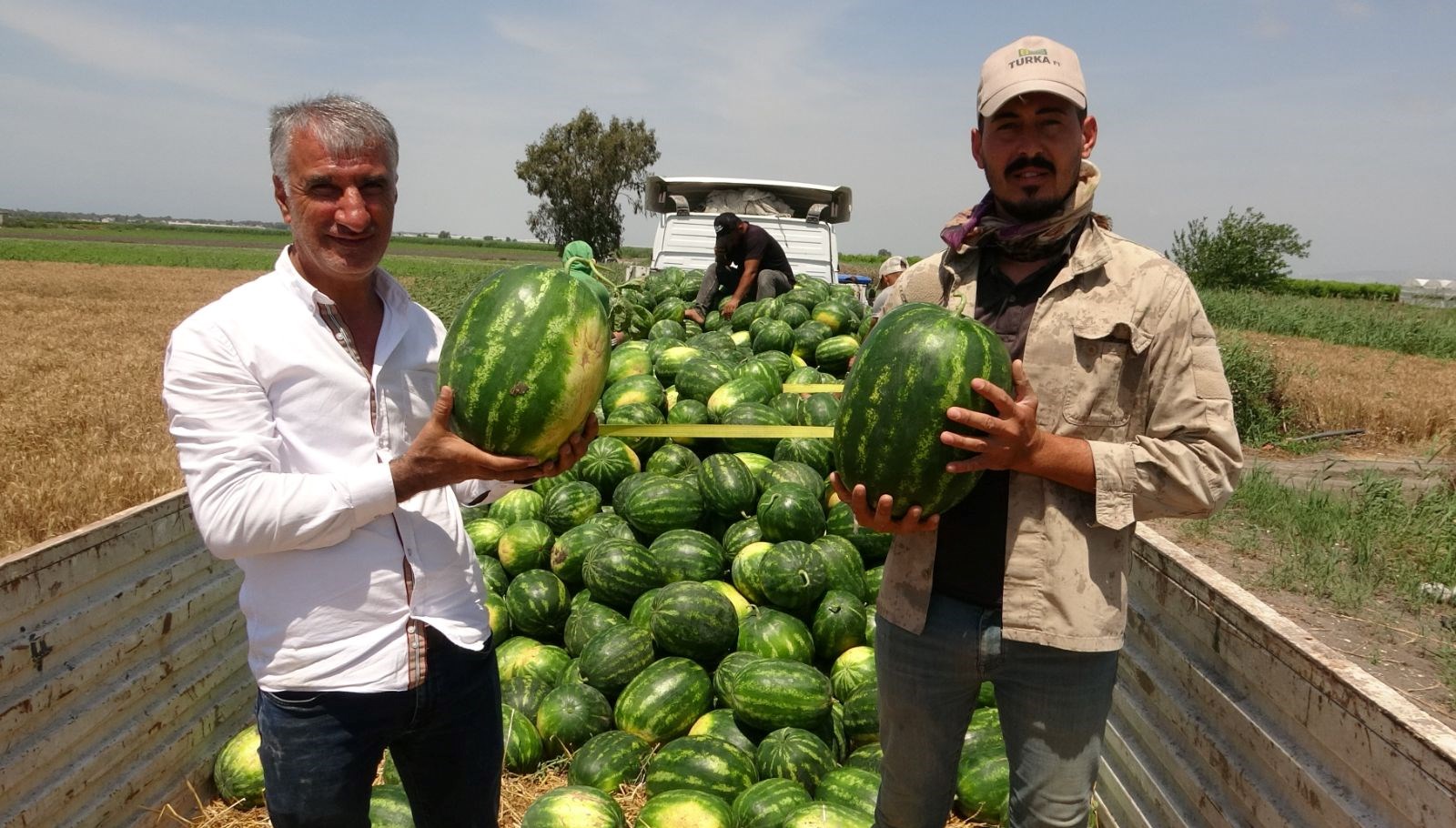 mersinde karpuz hasadi basladi tarlada kilosu 20 tlden basliyor t2p3zOQs