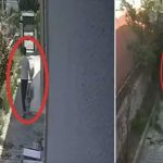 muhammet mustafa duman olayi kopekleri evinde olduren doktora ne oldu tutuklandi mi ifade verdi JJLuqiCm