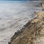 musilajla gayret 268 isletmenin faaliyeti durduruldu wqHUNVGv