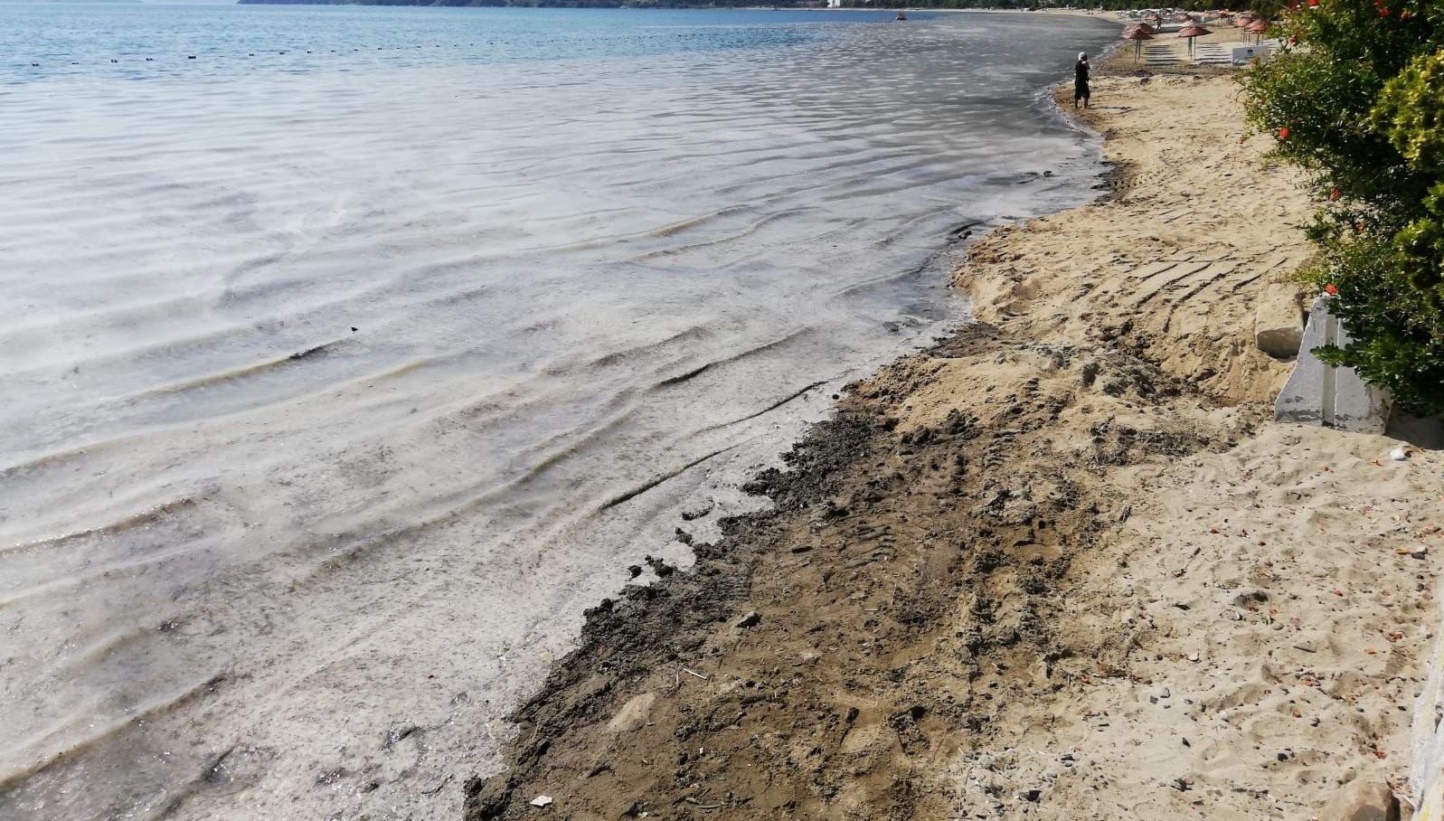 Müsilajla gayret: 268 işletmenin faaliyeti durduruldu 71 musilajla gayret 268 isletmenin faaliyeti durduruldu wqHUNVGv