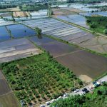 osmanli saray mutfaginin vazgecilmezi toprakla bulustu skwry5Bq