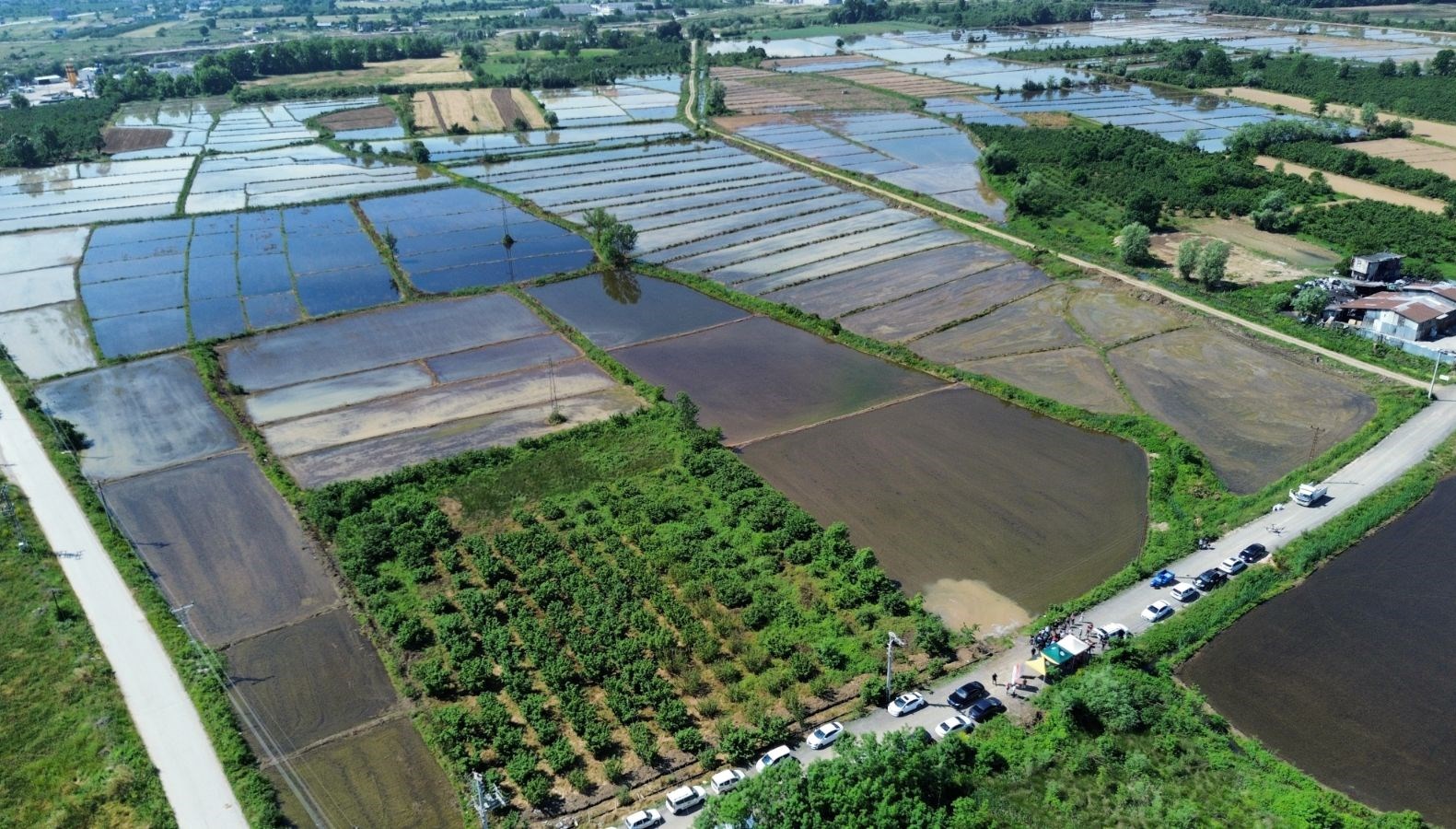 osmanli saray mutfaginin vazgecilmezi toprakla bulustu skwry5Bq