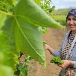 sabahin erken saatlerinde toplaniyor 1300 1500 tl kazaniyorlar EvnRA8av