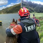 son sinyal kent ormanindan geldi istanbulda takimlar kayip demans hastasini ariyor J1bTfJIm