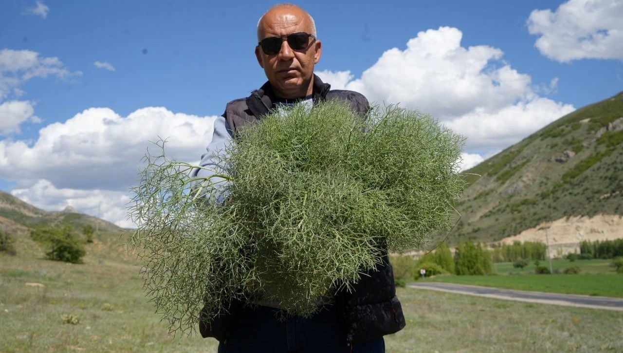 tabiatin protein deposu toplamak icin 15 kilometre yol gidiyorlar 7 kaygiya evelik 3I2kUlrf