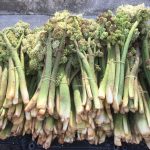 tezgahta yerini aldi unu amerikaya kadar yayildi a b1 b2 e ve k vitamini UmLnfsNS