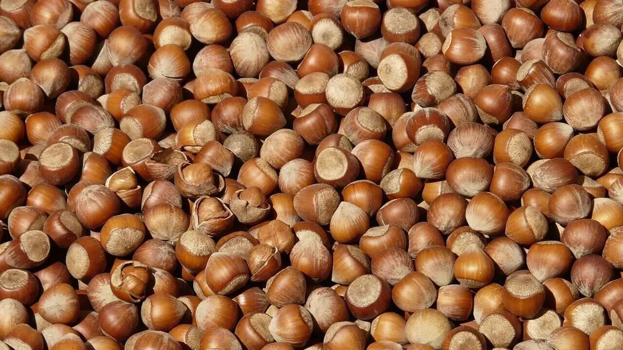 tmo fiyat acikladi serbest piyasa tavan yapti C1Dv7GrZ