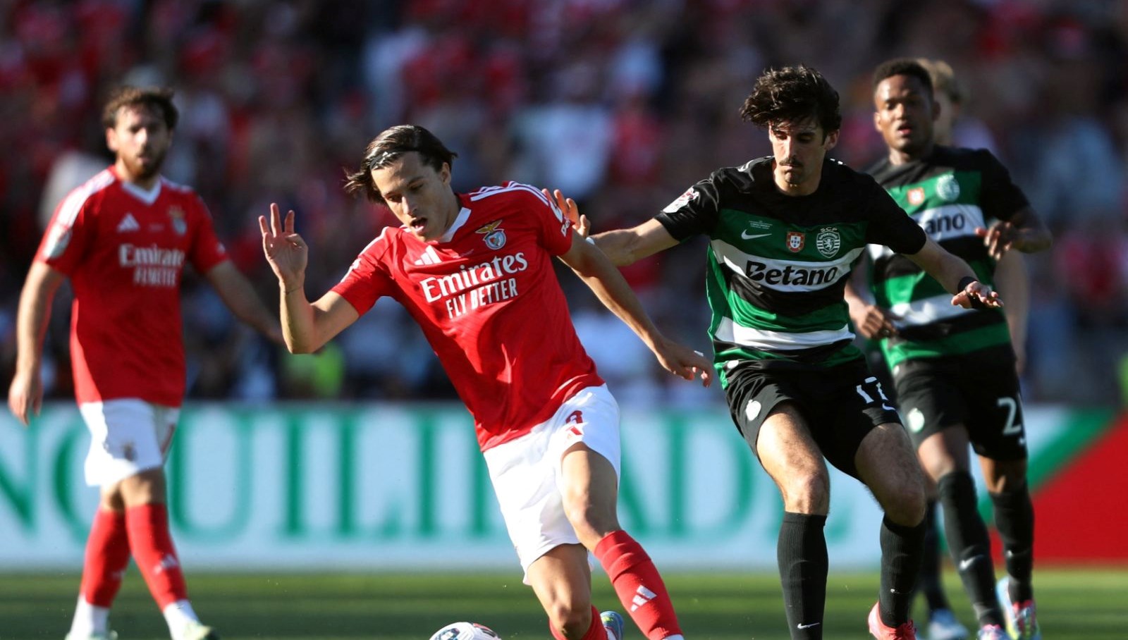 ulusal yildizin golu kupaya yetmedi mSfsBsDX