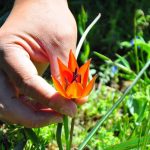 yalnizca 10 gun canli kalabiliyor koparmanin cezasi 557 bin tl iLHzVXsL