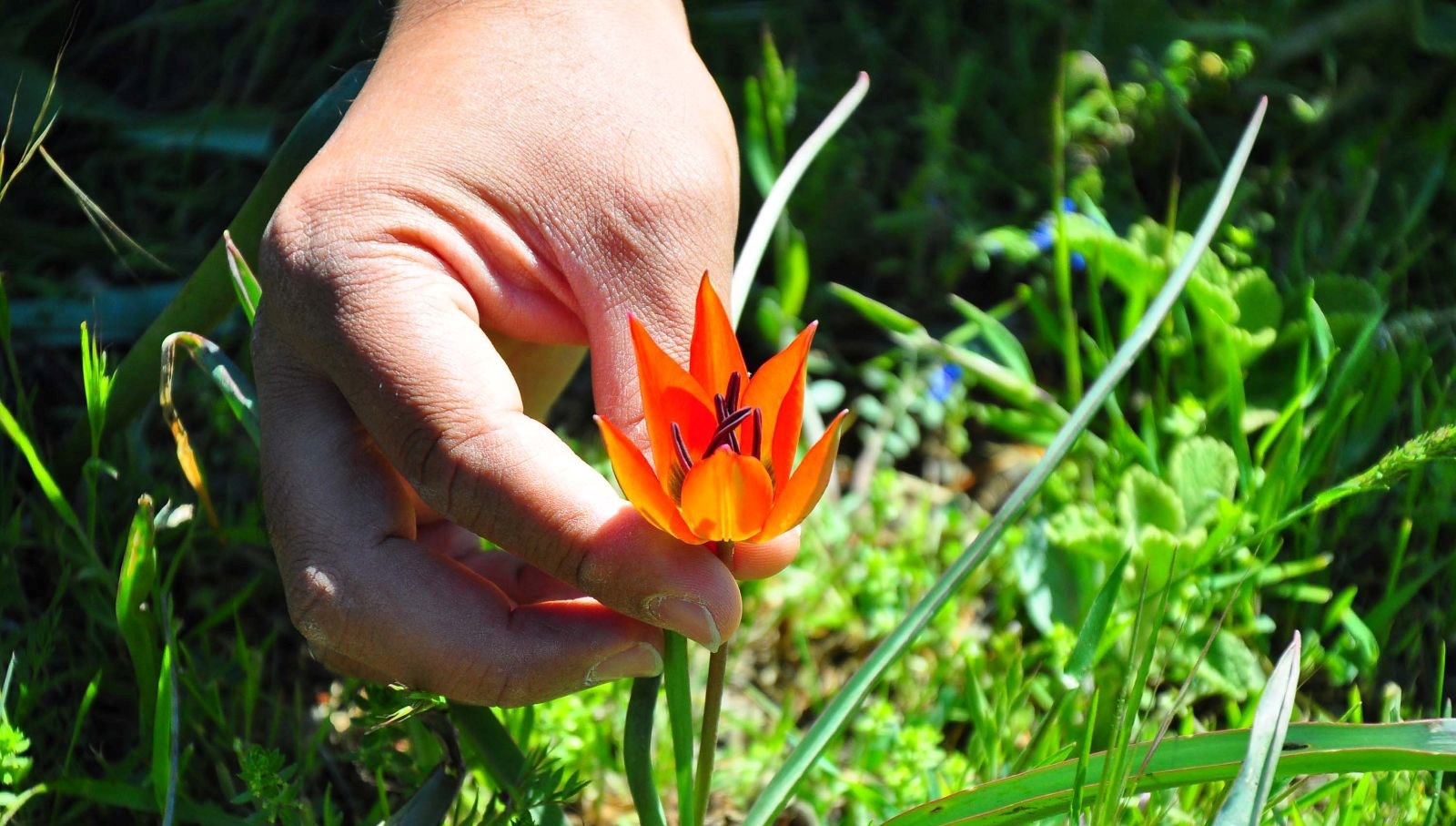 Yalnızca 10 gün canlı kalabiliyor: Koparmanın cezası 557 bin TL 71 yalnizca 10 gun canli kalabiliyor koparmanin cezasi 557 bin tl iLHzVXsL