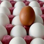 yumurta fiyatlarinda dikkat ceken dusus C9IzRGBG