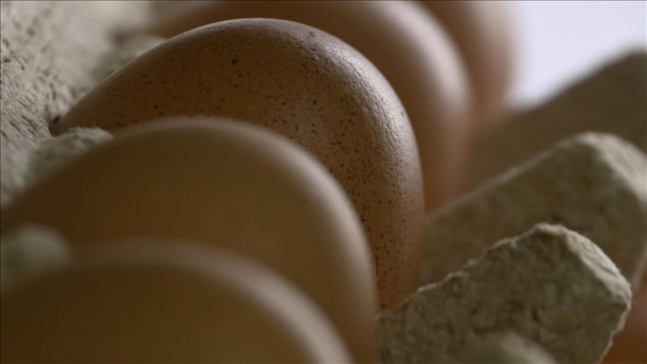 yumurta ihracatinda flas muafiyet tsk ve yardim sevkiyatlari kesintiden cikarildi bSrf3ij2