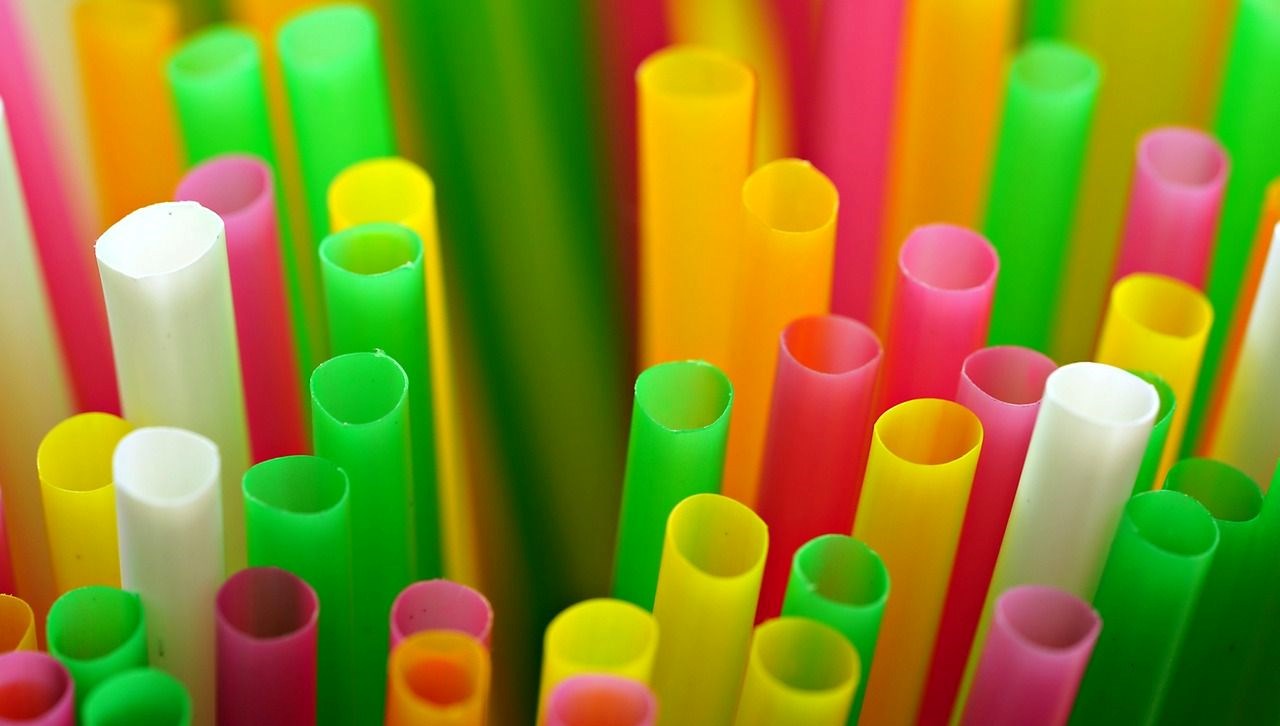 bakteriler plastikten agri kesici uretti CQKMs1bw