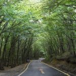 istanbul valiliginden sert uyari ormanlara giris ve mangal yasak dGyBA9uI