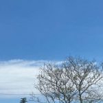 istanbulda iett otobusunde yangin alevler otobusu sardi pQ5Fs9Jl