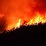 izmirde orman yanginlari buyuyor kundakci benzinle baslatmis rBmVqvts