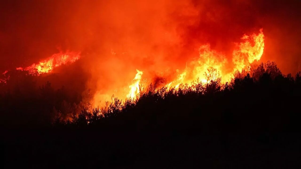 izmirde orman yanginlari buyuyor kundakci benzinle baslatmis rBmVqvts