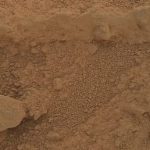 nasa fotografladi kizil gezegende yetisen gizemli mantar wtdJZSY6