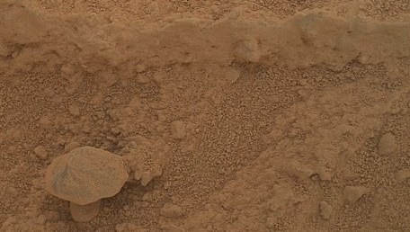 NASA fotoğrafladı: Kızıl Gezegen'de yetişen gizemli mantar 71 nasa fotografladi kizil gezegende yetisen gizemli mantar wtdJZSY6