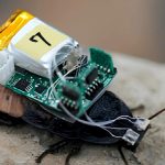 siborg bocekler cagi geliyor hamamboceklerine kask takildi YNafitYh