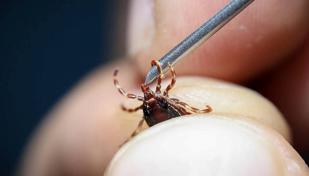 sihhat bakanligindan kirim kongo kanamali atesi uyarisi LiJ1mQ8G