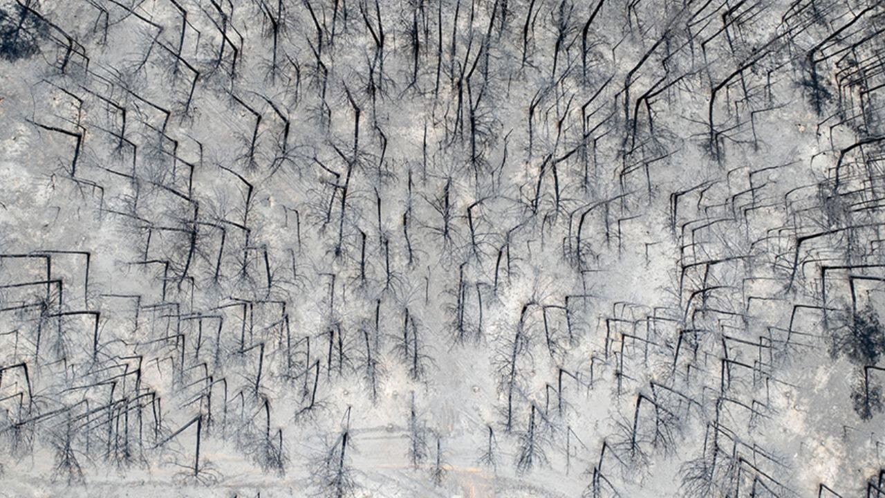 bakan kurum tum illerimizde afetin izlerini bir an once silecegiz If7CIEfX