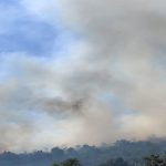 balikesirde orman yangini 32AYTOUj