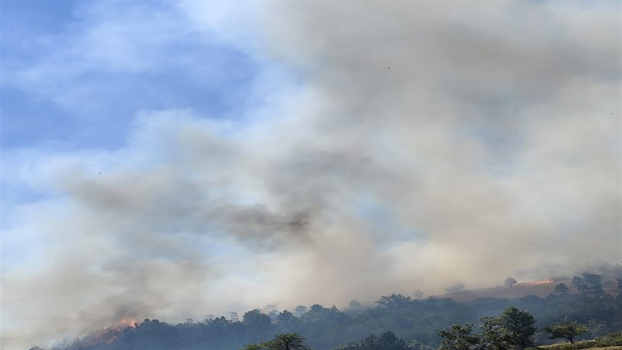 balikesirde orman yangini 32AYTOUj