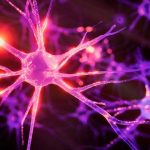 beynin hafizasi busbutun dolabilir mi cXI9kbhy