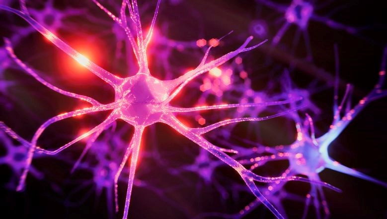 beynin hafizasi busbutun dolabilir mi cXI9kbhy