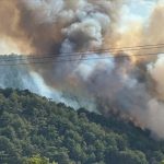 boluda orman yangini l221q3yF