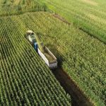 devletin ureticiye cevabi destek odemeleri basladi SiXNKxhS