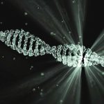 insan genomunda zimn bir hayalet kod bulundu ZVM5zRZB