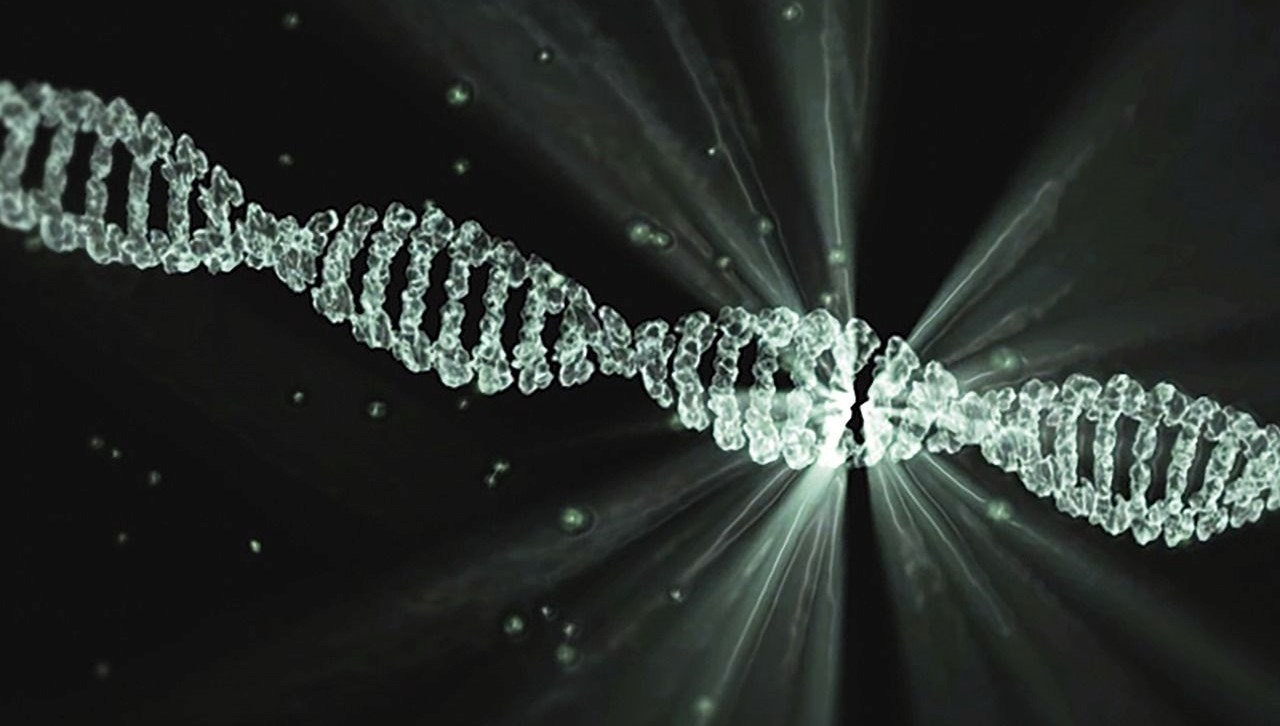 insan genomunda zimn bir hayalet kod bulundu ZVM5zRZB