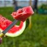 karpuzda bakteri tehlikesi 3FJBCL8s