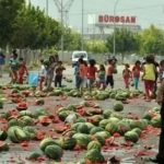 karpuzlarini parcalayan ureticilere milyonluk ceza gundemde 2G7MP8CR