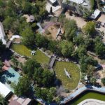 mersinde bir kisiyi yaralayan aslan vurularak olduruldu mK4Z4umx