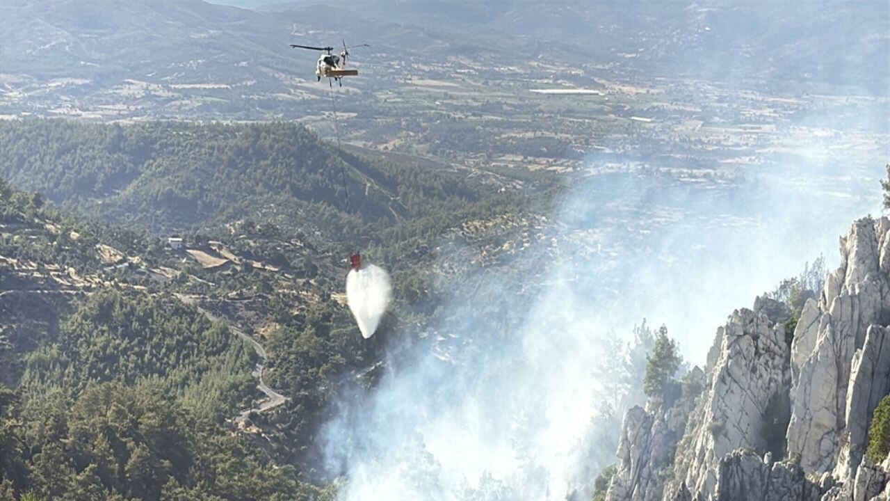 milasta orman yangini 2MLcrauz