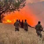 orman yanginlarinda 4 tutuklama 23 gozalti BwrRXcNT