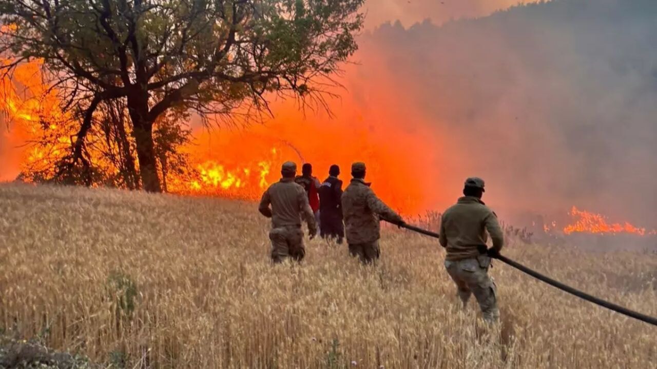 orman yanginlarinda 4 tutuklama 23 gozalti BwrRXcNT