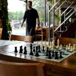 satranc piyonu capraz gitmeden tas yemeyi ogrendiinternet sitesi ozur diledi W4dDnR4G