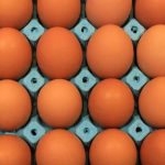 sofralik yumurtada yeni ihracat duzenlemesi Jy8JdOQK