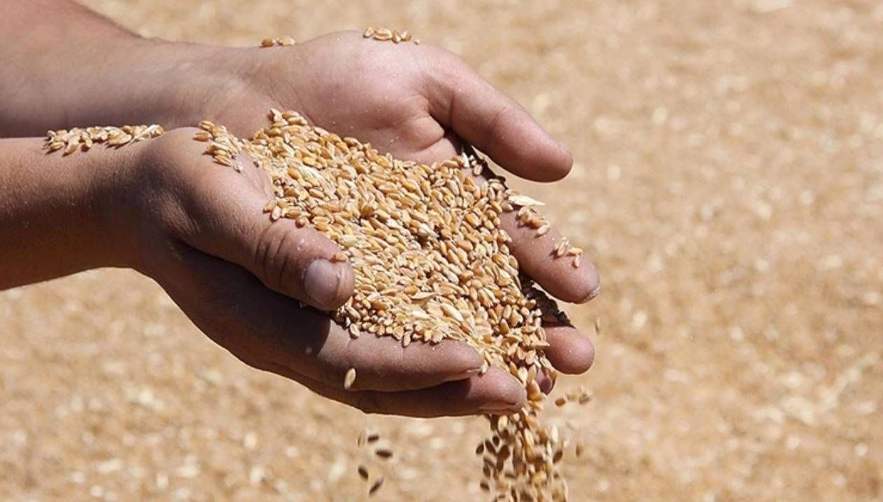 tmo hububat alim bedellerini ureticilerin hesaplarina aktarmaya basladi Cf7gFC5p