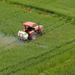 ulker ve sabanci universitesi bugday icin ele ele verdi OgOK2rET