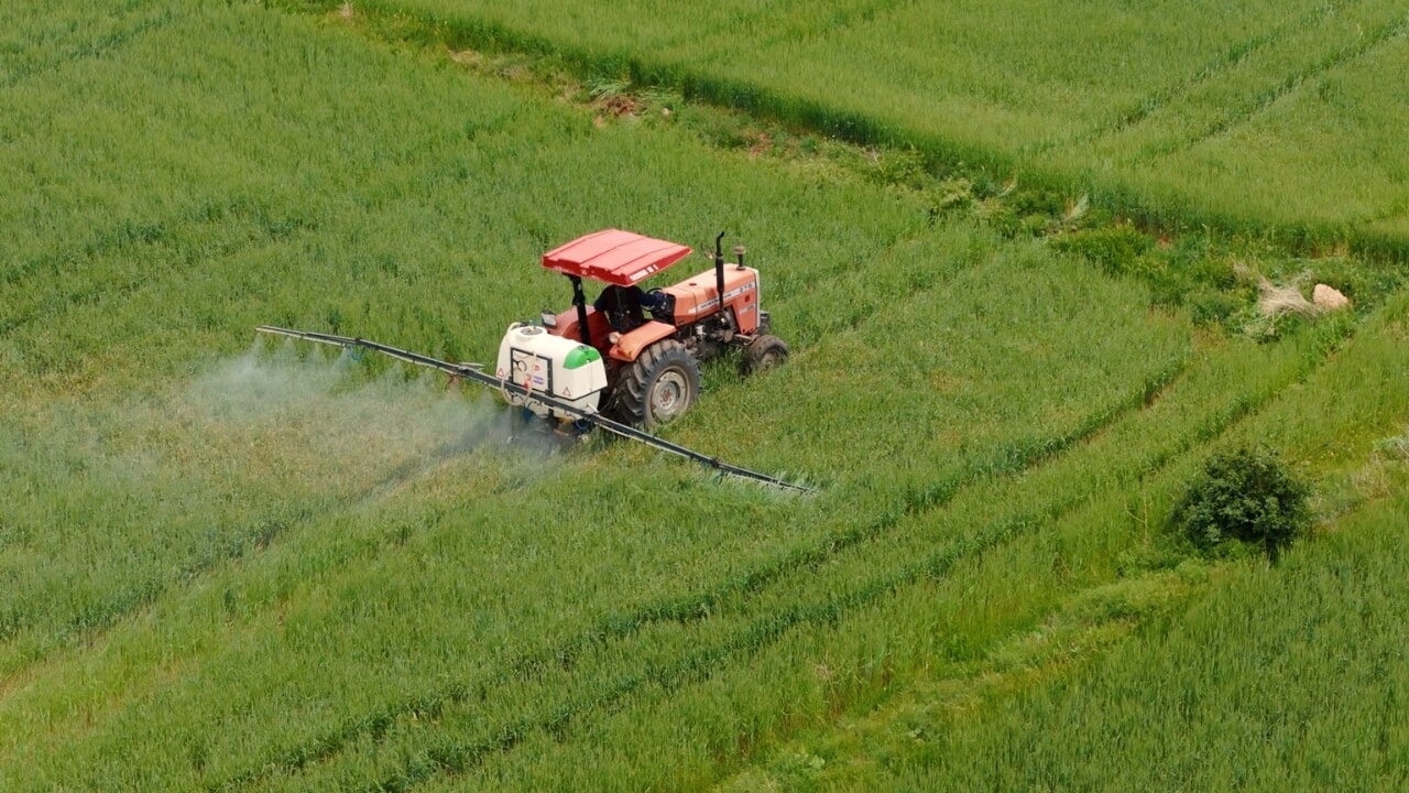ulker ve sabanci universitesi bugday icin ele ele verdi OgOK2rET