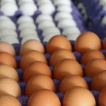 yumurtada israfi bitirecek duzenleme yeni tarih uygulamasi basladi ZqeBbWy4